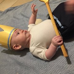 IMG 221